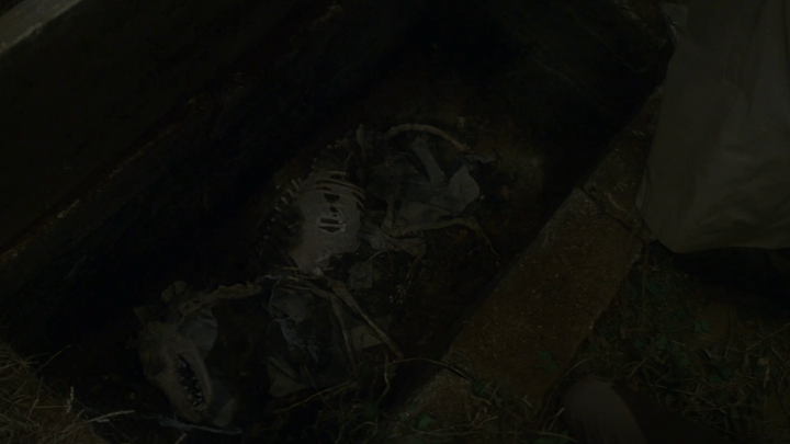 The Omen - Maria Scianna