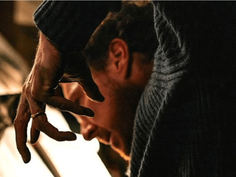 The Thing With Feathers